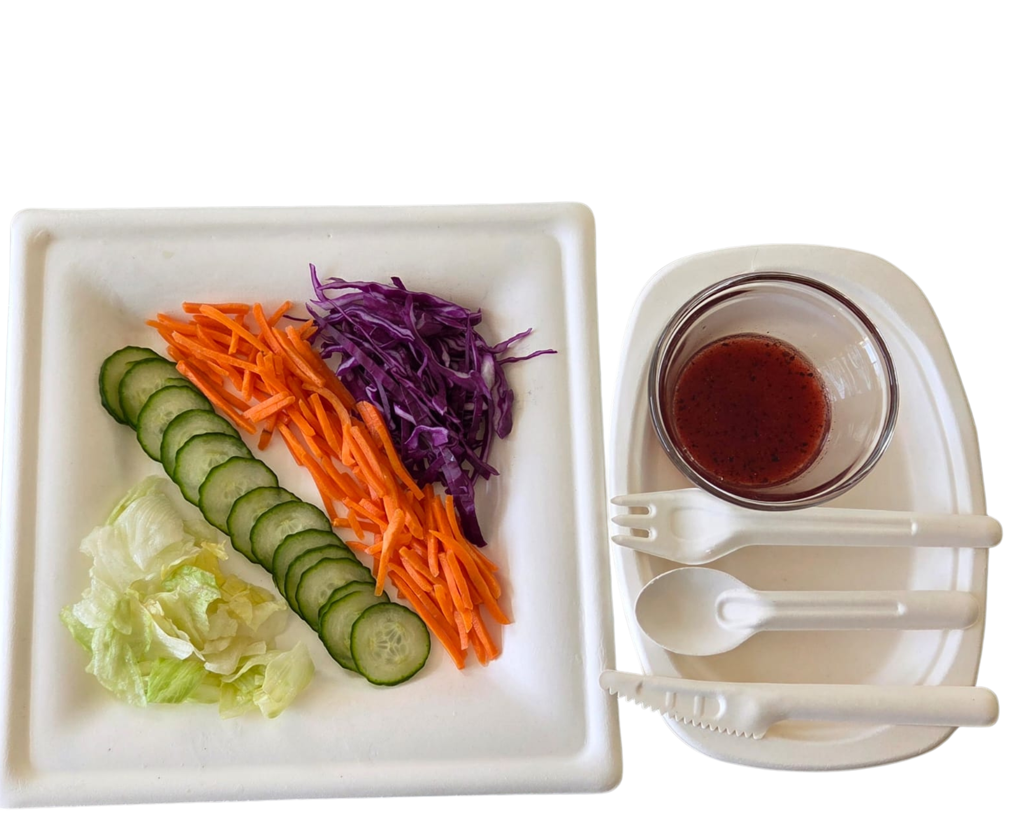 Square Sugarcane Fiber Plates - Coming Soon