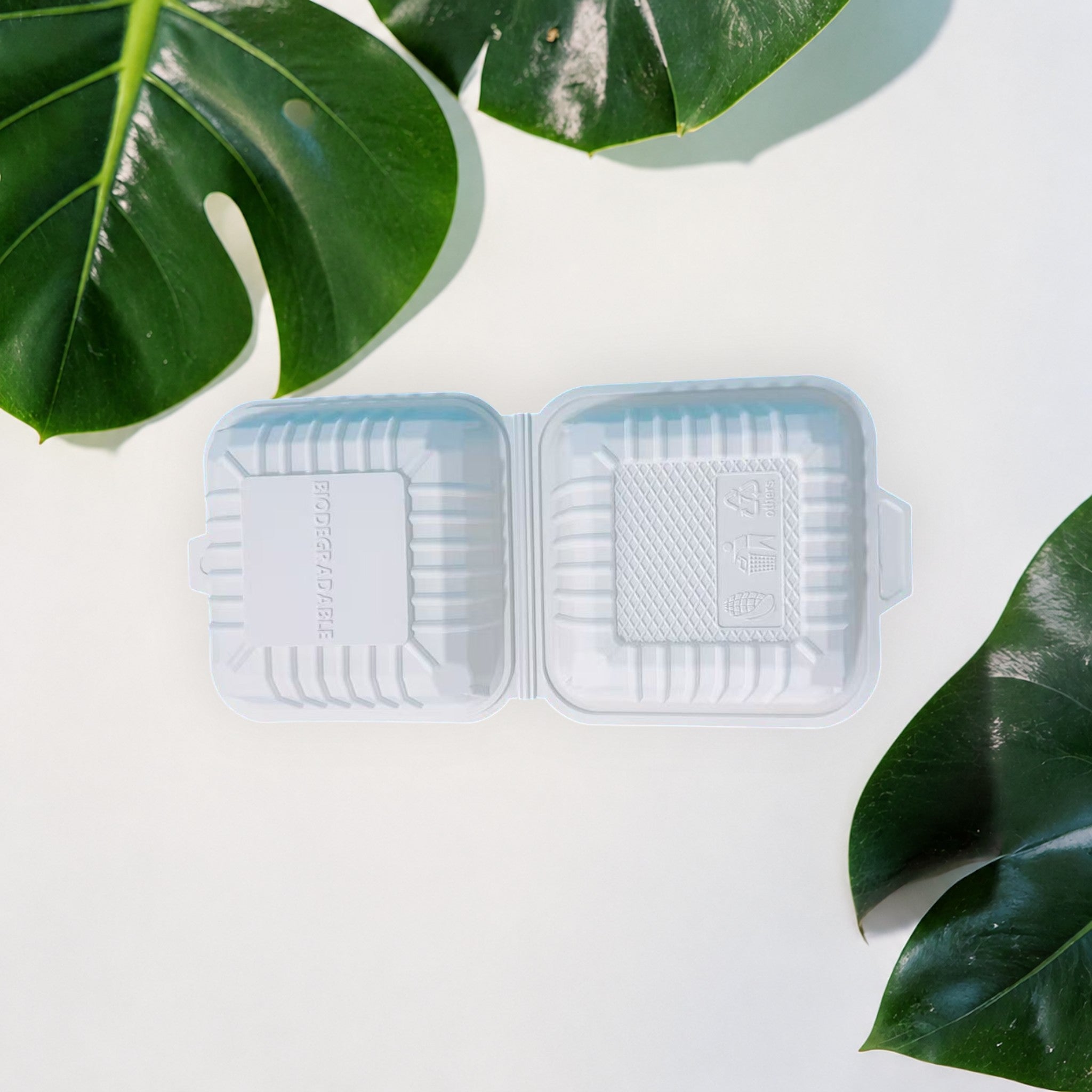 Corn Starch Takeout Containers | 6X6X3" | 1-Comp | Single Tab