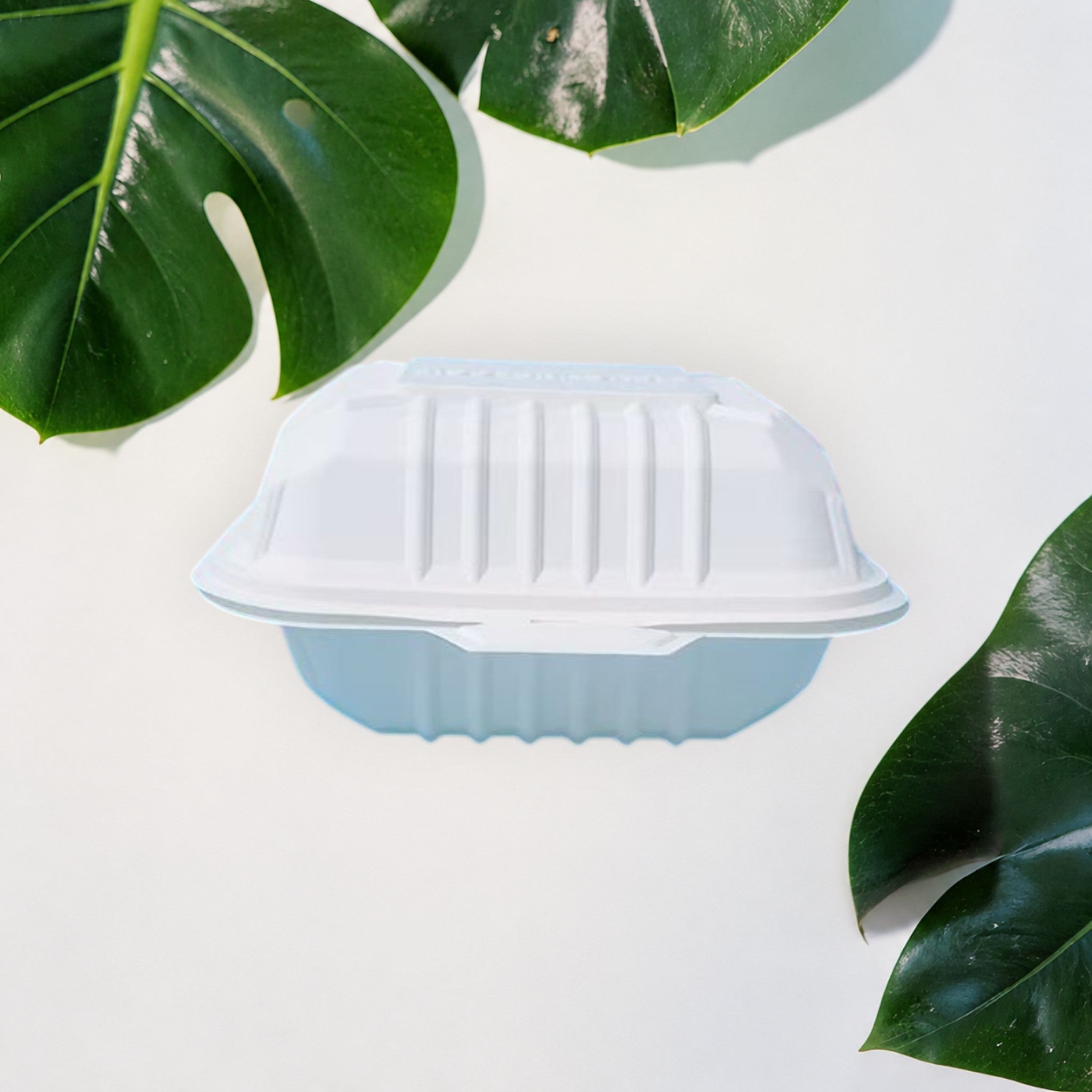 Corn Starch Takeout Containers | 6X6X3" | 1-Comp | Single Tab