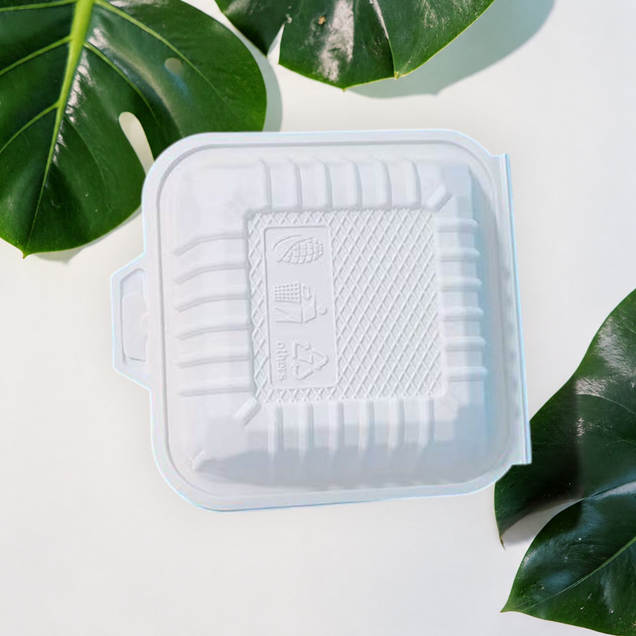 Corn Starch Takeout Containers | 6X6X3" | 1-Comp | Single Tab
