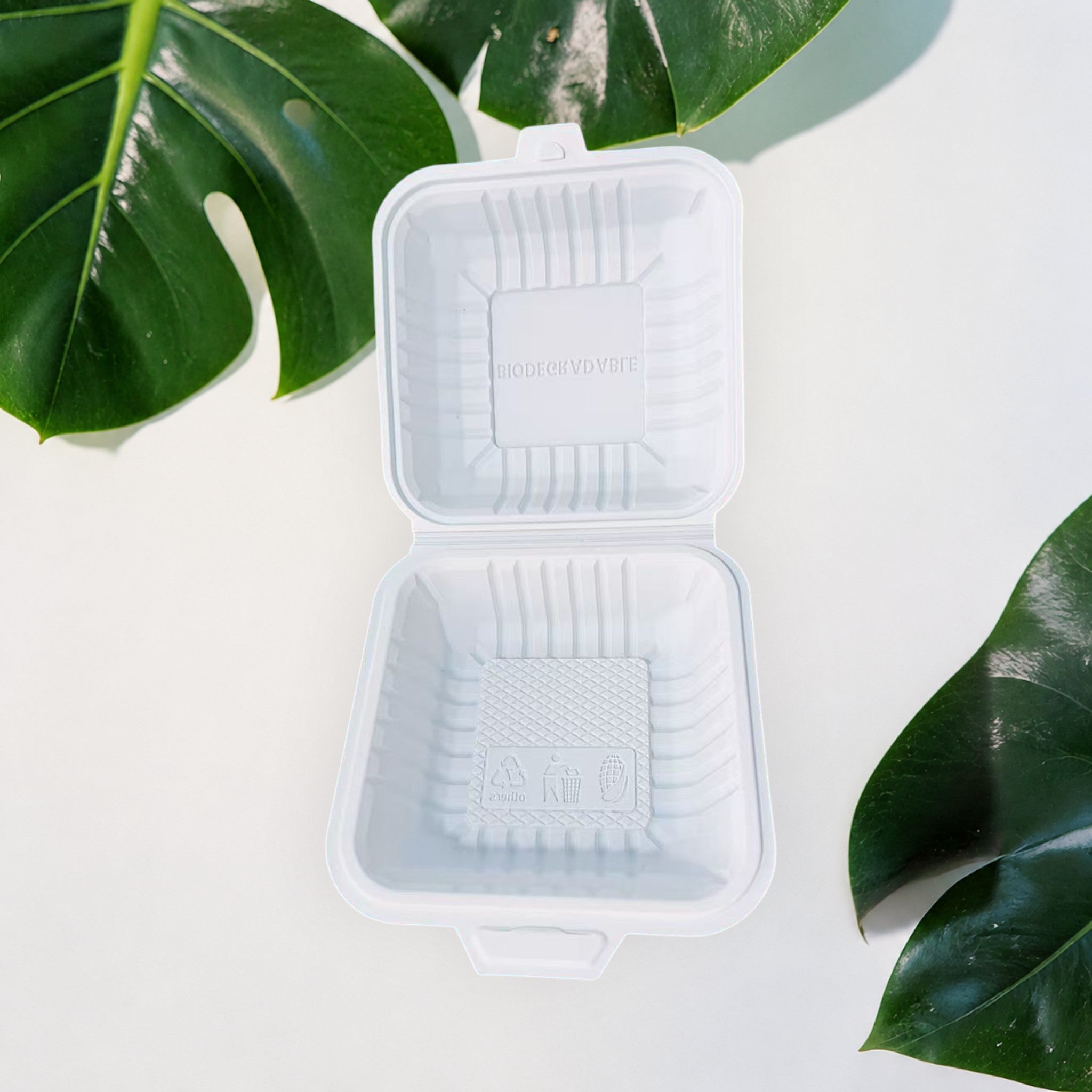 Corn Starch Takeout Containers | 6X6X3" | 1-Comp | Single Tab