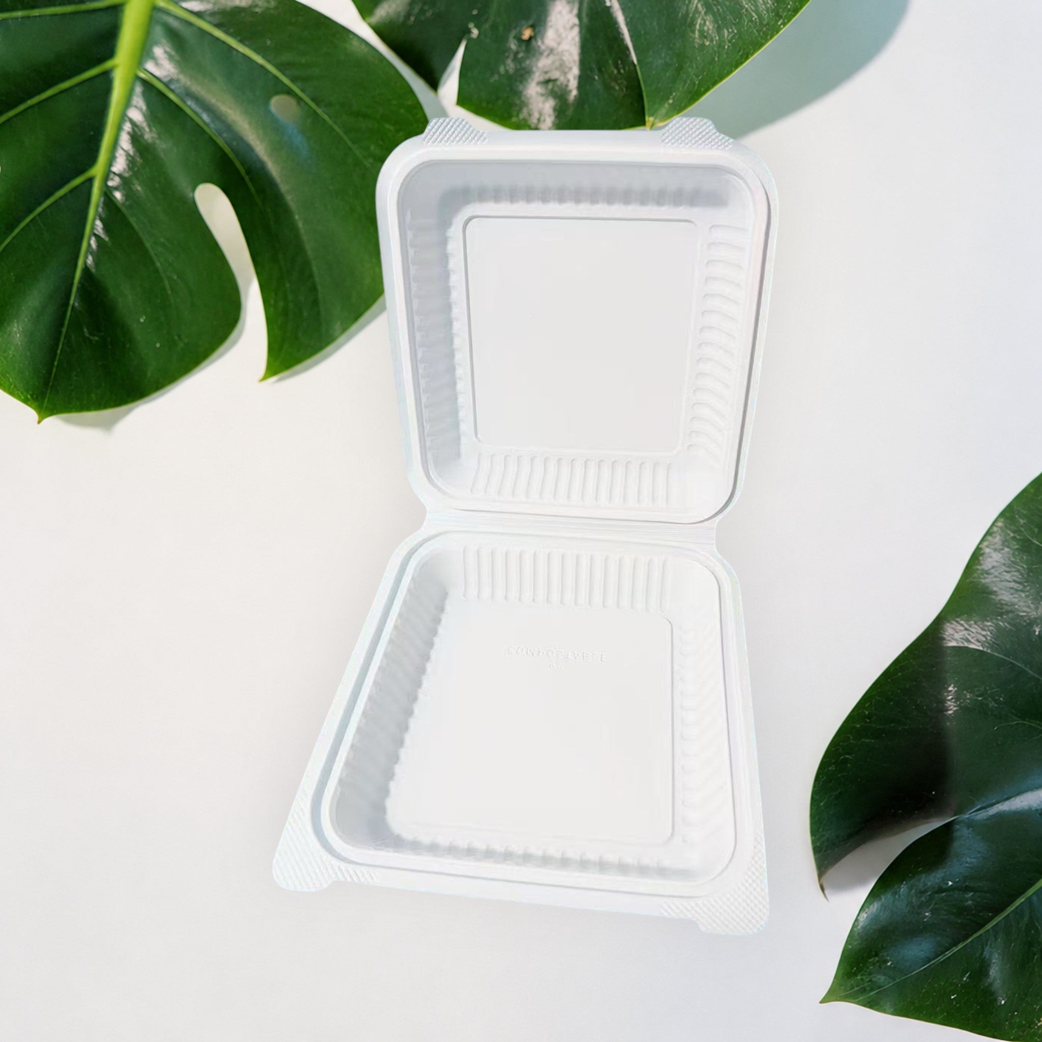 Corn Starch Takeout Containers | 9X9X3" | 1-Comp | Dual Tab