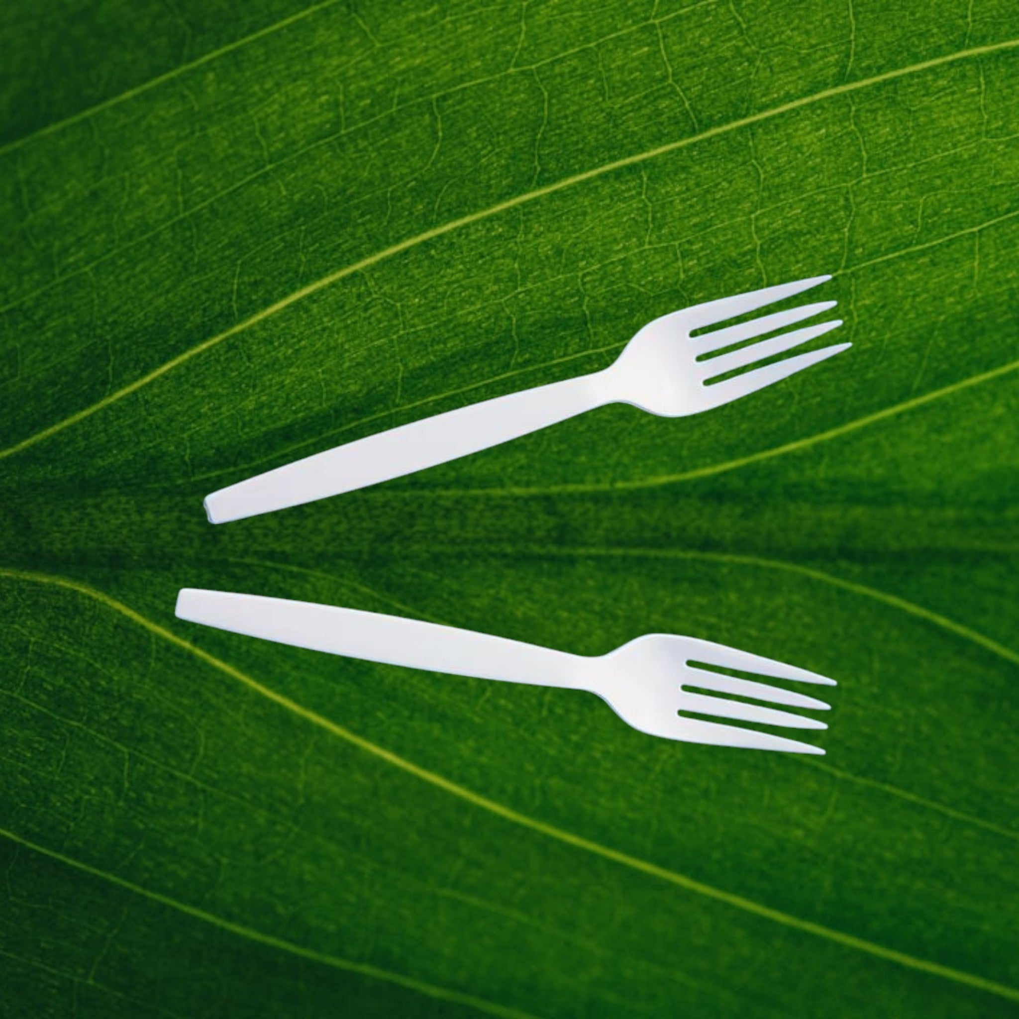 Corn Starch Cutlery Sets