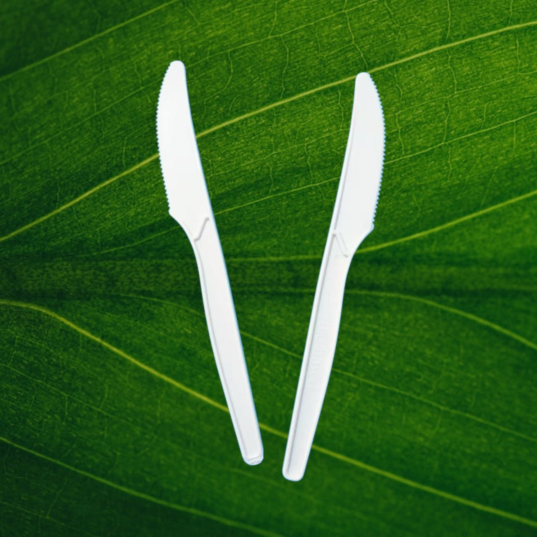 Corn Starch Cutlery Sets