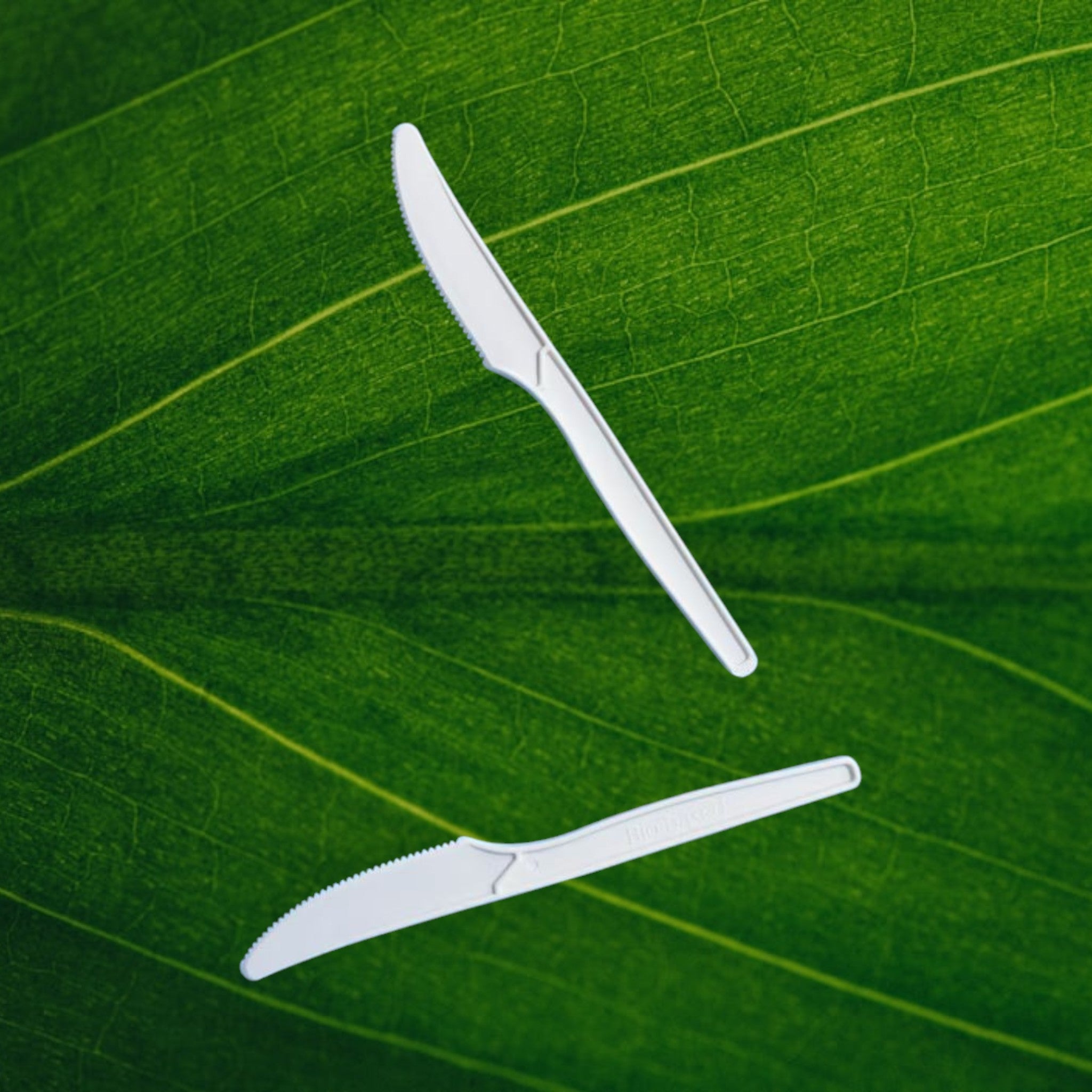 Corn Starch Cutlery Sets