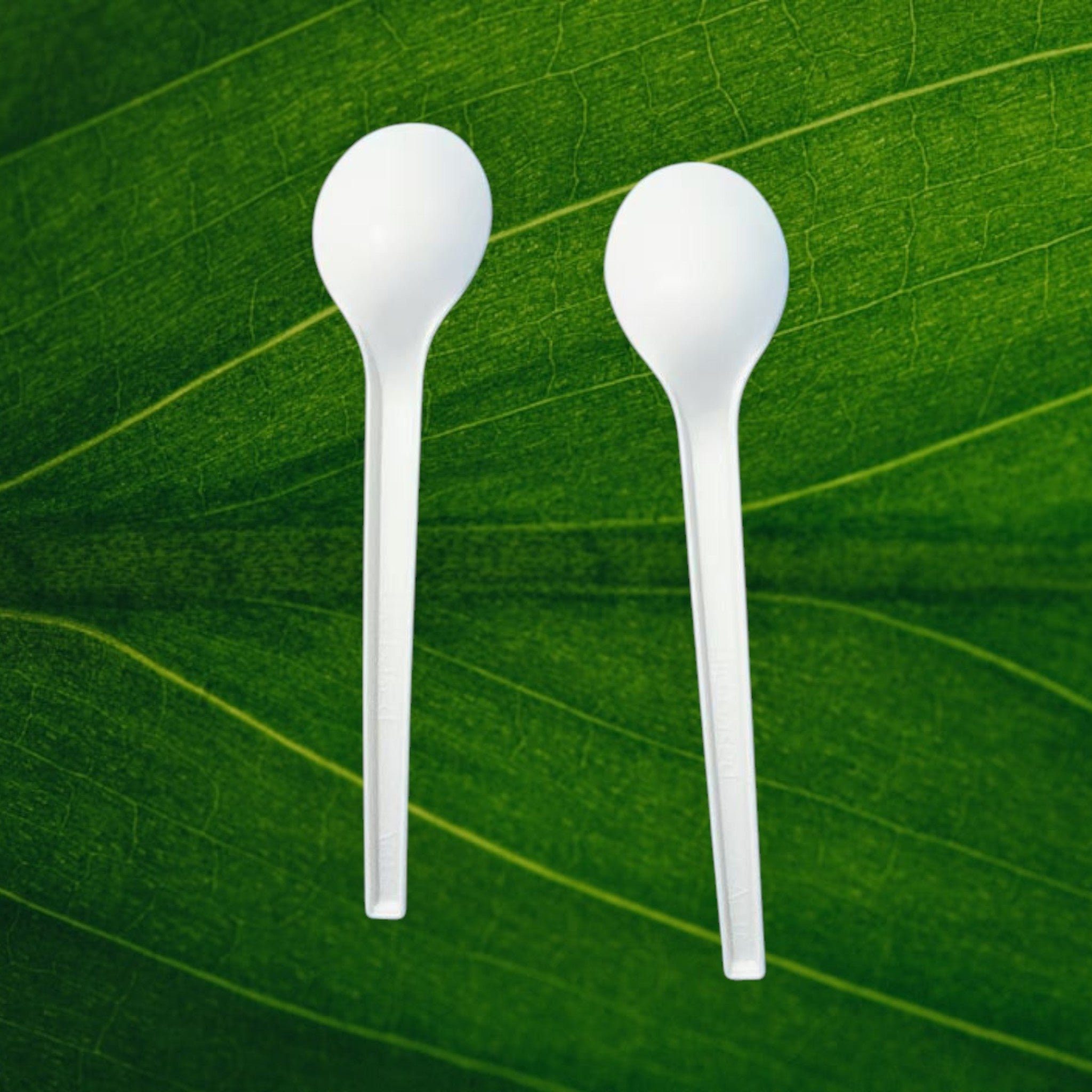 Corn Starch Cutlery Sets